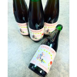 BRIE CANTILLON BRIJ. ROSE DE GAMBRINUS LAMBIC 5% 375ml - The Beer Shelf