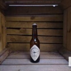 Brouwerij ‘t IJ IJWit