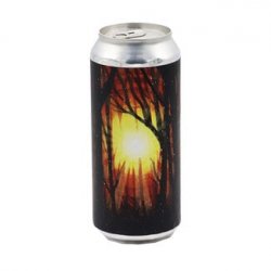 Tree House Brewing Company - Hold On To Sunshine - Bierloods22