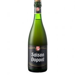 Saison Dupont 75 cl - RB-and-Beer