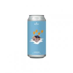 Hopfully Floatinghome Belgian Pale Ale 44Cl 5.1% - The Crú - The Beer Club