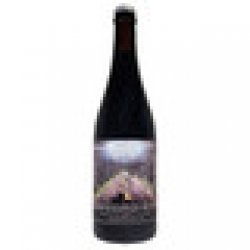 Shady Oak Somnambulism Dark Sour Ale - Holiday Wine Cellar