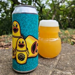 Vitamin Sea Brewing Small Beauty