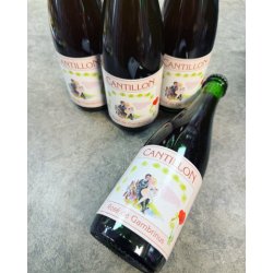 BRIE CANTILLON BRIJ. ROSE DE GAMBRINUS LAMBIC 5% 375ml - The Beer Shelf