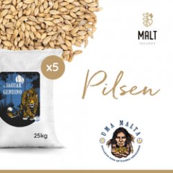 Pilsen UMA x 5 Bolsas de 25kg - Malt Insumos