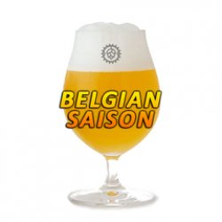 Belgian Saison - Silo Cervecero