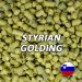 Lúpulo Styrian Golding - Hopsteiner Lúpulo Styrian Golding - Hopsteiner