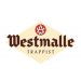 Westmalle Triple       24 x 33 cl 
