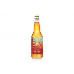 Elegast Cider Pumpkin Spice Chai Cider 24x33CL - Van Bieren