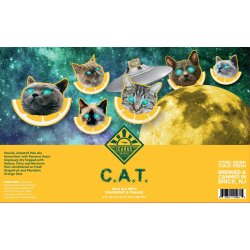 Icarus Brewing C.A.T. (CITRIC ACID TRIP)