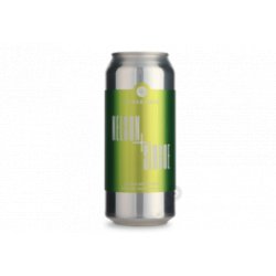 Other Half DDH Nelson + Simcoe 12x47,3CL - Van Bieren