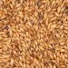 Weyermann Munich Type 1 Malt - 1Kg 