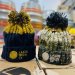 Lakes Brew Co Bobble Hat 