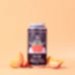 PASTORE Peach & Apricot 3.8% Berliner weisse 