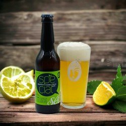 Birrificio Rurale Seta Special