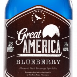 Great America Blueberry 1 -23.5 oz Mason Jar - Beverages2u