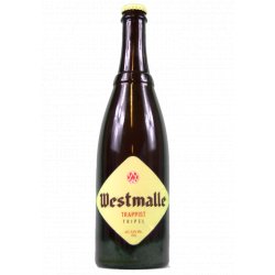 Westmalle Trappist Tripel 9,5% 75cl - Brygshoppen