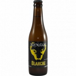 Brasserie Lupulus -                                              Lupulus Blanche - Just in Beer