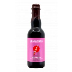 Nano Cinco Space Rocket