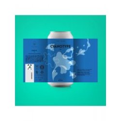 FUERST WIACEK Berlin Cyanotype