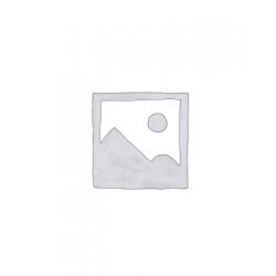 Beak Brewery Parade Beak Brewery Parade