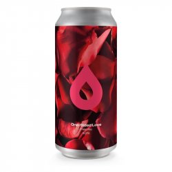 One Sided Love 5.2% - Beer Ritz