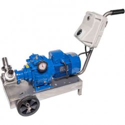 Elettropompa EP MINOR 40 BEER con variatore meccanico 380V - Polsinelli