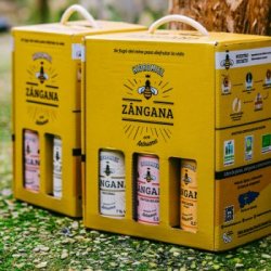 Pack degustación 6 botellas Hidromiel Zángana - Zángana