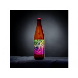 Funky Fluid - 14°Space Boogie 0,5l sklo 6,2% alc. - Beer Butik