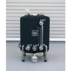 Brite Tank Ss Brewtech 1 BBL Brewmaster edition - Maltosaa