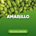 Hop cones Amarillo 5 kg 