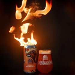 Vault City  Fiery Ginger Iron Brew [6.4% Sour] - Red Elephant