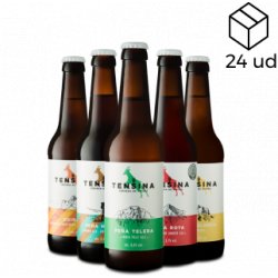 Tensina Pack de 24 cervezas artesanales variadas - Tensina