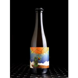 Holy Goat  Sunsmasher  Fermentation Mixte Abricot  5,8% - Quaff Webshop