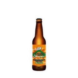 Lohn Catharina Sour com Bergamota 355ml - CervejaBox