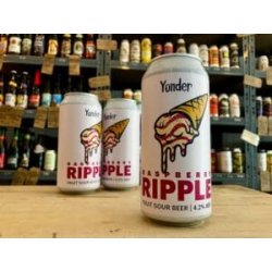 Double-Barrelled Brewery Raspberry Ripple Sour