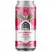 Raspberry Sour 5.0&percnt; 
