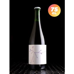 SPO  Amer Brett’s Questche (2023)  Fermentation Mixte  4,6% - Quaff Webshop