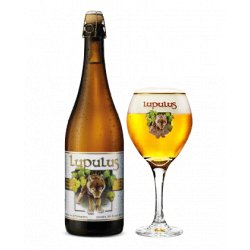 Brasserie les 3 Fourquetes Lupulus cl75 - Iperdrink