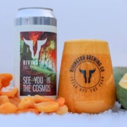 Rivington  See You In The Cosmos [5% Smoothie Sour] - Red Elephant