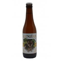 Lupulus Tripel - The Belgian Beer Company