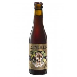 Lupulus Bruin - The Belgian Beer Company