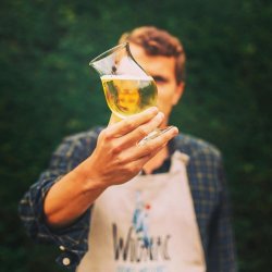 Wignac Cidre Bio Sans Alcool