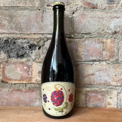 Jester King Synthesis Analoguos 2022 7.9% (750ml) - Caps and Taps