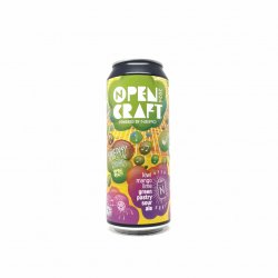 Nepomucen Open Craft 2024 0,5L - Beerselection