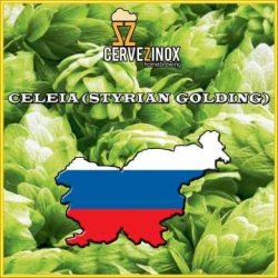 Celeia Styrian Golding (flor) - Cervezinox
