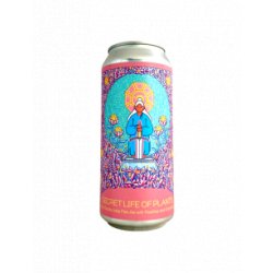 Hudson Valley - Secret Life of Plants (Sour DIPA) 47,3 cl - Bieronomy