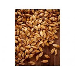 Weyermann CARAMUNICH Malt Typ I - BO PIVO