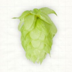 Polen Lubliner Pellets Typ 90 - Hopsteiner