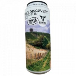 Hazy Discovery Rivington Browar PINTA                                                                                                  Hazy IPA - OKasional Beer